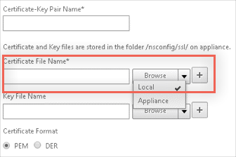 netscalernew.png